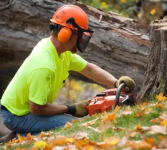 tree services Oakhurst